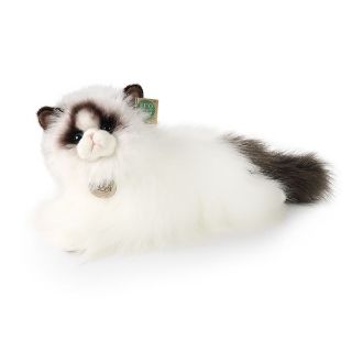 Obrázek z Kočka ragdoll ležící plyš 35cm 